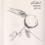 خرید کتاب جادوی تکانه اثر استفان گایز از نشر شمشاد