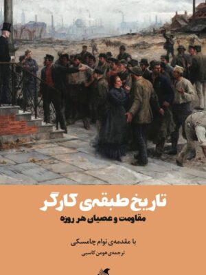 خرید کتاب تاریخ طبقه کارگر مقاومت و عصیان هر روزه نشر آده