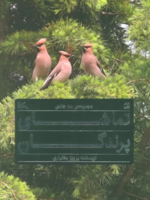 خرید مجموعه کتاب تماشای پرندگان 3 جلدی گلاسه باقاب اثر پرویز بختیاری