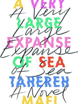 خرید کتاب زبان اصلی وسیع دریا A Very Large Expanse of Sea