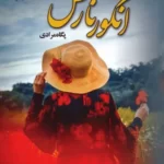 خرید کتاب انگور نارس اثر پگاه مرادی نشر علی