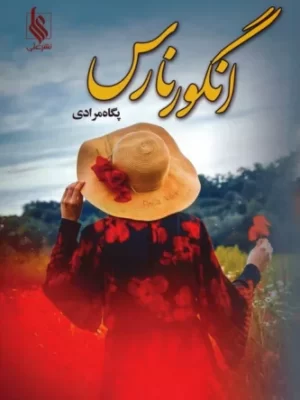 خرید کتاب انگور نارس اثر پگاه مرادی نشر علی