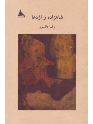 خرید کتاب شاهزاده و اژدها اثر رضا دانشور نشر آوانوشت
