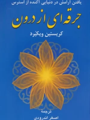 خرید کتاب جرقه ای از درون اثر کریستین ویکیرد نشر دانژه