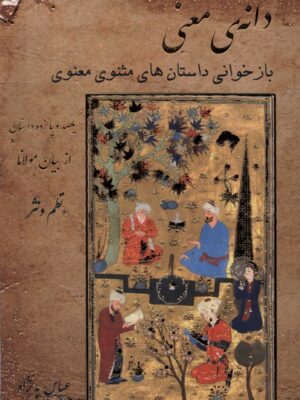 خرید کتاب دانه ی معنی بازخوانی داستان های مثنوی و معنوی