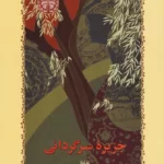 خرید کتاب جزیره سرگردانی اثر سیمین دانشور نشر خوارزمی