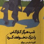 خرید کتاب شب هرگز کاراکاس را ترک نخواهد کرد اثر کارینا ساینس بورگو نشر خوب