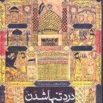 خرید کتاب درد تنها شدن اثر محمد سادات اخوی نشر امیرکبیر