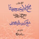 خرید کتاب ترجمه و متن شرح الاربعین حدیثا اثر صدرالدین قونوی نشر مولی
