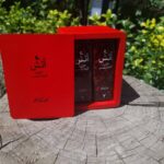 خرید مجموعه کتاب 2 جلدی آتش جزئی از کلیات شمس اثر عباس کیارستمی نشر نظر