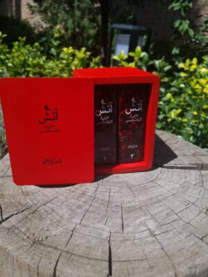 خرید مجموعه کتاب 2 جلدی آتش جزئی از کلیات شمس اثر عباس کیارستمی نشر نظر