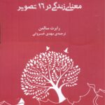 خرید کتاب معنای زندگی در 16 تصویر اثر رابرت سالمن نشر اریش