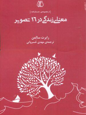 خرید کتاب معنای زندگی در 16 تصویر اثر رابرت سالمن نشر اریش