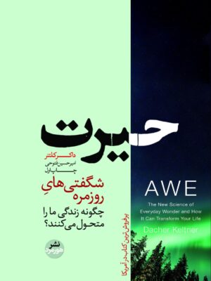 خرید کتاب حیرت (شگفتی های روزمره چگونه زندگی ما را متحول می کنند) نشر هورمزد