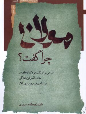 خرید کتاب مولانا چرا گفت اثر فاطمه (هنگامه) حیدری نشر نگاه معاصر