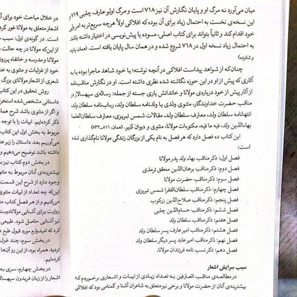 خرید کتاب مولانا چرا گفت اثر فاطمه (هنگامه) حیدری نشر نگاه معاصر - تصویر 3