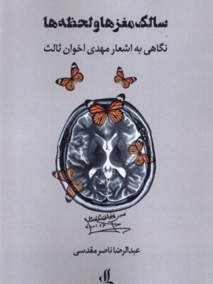 خرید کتاب سالک مغزها و لحظه ها اثر عبدالرضا ناصر مقدسی نشر لوگوس