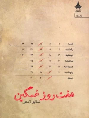 خرید کتاب هفت روز غمگین اثر شقایق لامعی نشر آراسبان