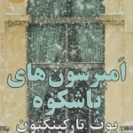 خرید کتاب امبرسون های باشکوه اثر بوث تارکینگتون نشر متیس
