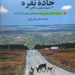 خرید کتاب جاده نقره (داستان عشق و ناکامی) اثر استینا جکسون نشر بلدرچین