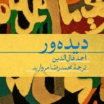 خرید کتاب دیده ور اثر احمد فال الدین نشر هرمس