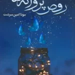 خرید کتاب رقص پروانه ها اثر مونا امین سرشت نشر شقایق