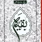 خرید کتاب بقیه اثر سید محمد سادات اخوی نشر شنل
