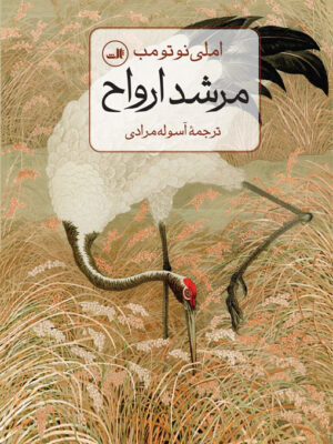 خرید کتاب مرشد ارواح اثر املی نوتومب نشر ثالث