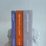 خرید کتاب هزارتوی ذهن داستایفسکی اثر ویرجینیل وولف نشر چام