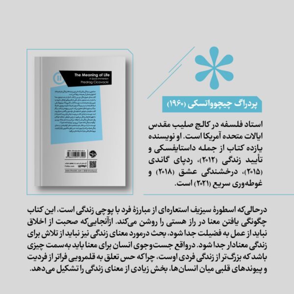 خرید کتاب معنای عمیق زندگی اثر پردراگ چیچوواتسکی نشر خوب - تصویر 2