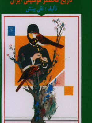 خرید کتاب تاریخ مختصر موسیقی ایران اثر تقی بینش نشر هستان