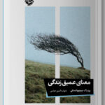 خرید کتاب معنای عمیق زندگی اثر پردراگ چیچوواتسکی نشر خوب