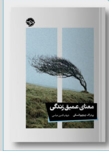 خرید کتاب معنای عمیق زندگی اثر پردراگ چیچوواتسکی نشر خوب