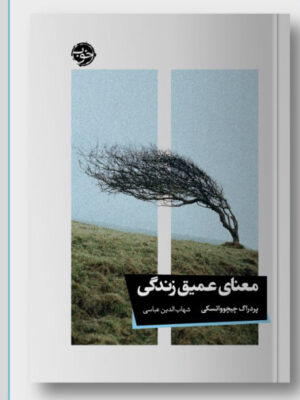خرید کتاب معنای عمیق زندگی اثر پردراگ چیچوواتسکی نشر خوب