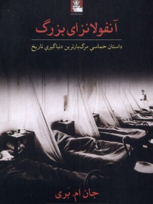 خرید کتاب آنفولانزای بزرگ اثر جان ام بری ترجمه حامد کریمی از نشر مهراندیش