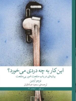 خرید کتاب این کار به چه دردی می خورد اثر نوچو اردین نشر چشمه