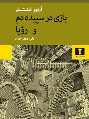 خرید کتاب بازی در سپیده دم و رویا اثر آرتور شنیتسلر نشر نیلوفر