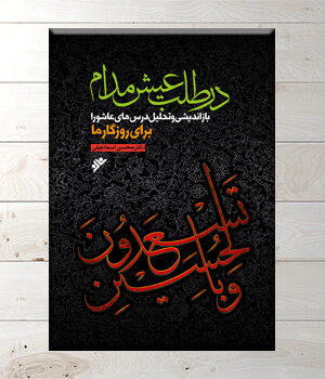 خرید کتاب در طلب عیش مدام اثر دکتر محسن اسماعیلی دفتر نشر فرهنگ اسلامی
