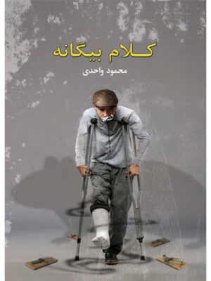 خرید کتاب کلام بیگانه اثر محمود واحدی نشر سخن