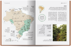 خرید کتاب دایره المعارف مصور قهوه COFFEE اثر آنت مولدوائر نشر سایان - تصویر 6