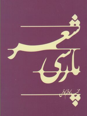 خرید کتاب شعر پارسی اثر محمد کاظم کاظمی نشر نیستان