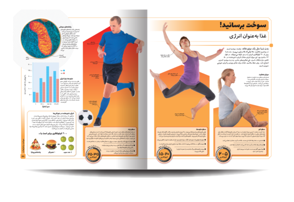 خرید کتاب دایره المعارف مصور بدن شگفت انگیز ما نشر سایان - تصویر 4
