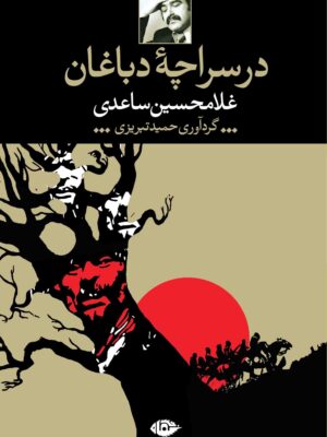 خرید کتاب در سراچه دباغان اثر غلامحسین ساعدی نشر نگاه