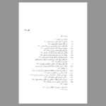 خرید کتاب در باب تسلی خاطر آرامش یافتن در عصر ظلمت اثر مایکل ایگناتیف - تصویر 4