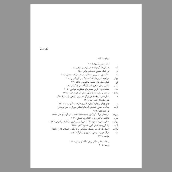 خرید کتاب در باب تسلی خاطر آرامش یافتن در عصر ظلمت اثر مایکل ایگناتیف - تصویر 4