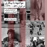 خرید کتاب مواجهه با بیکاری در ایران اثر محمد جواد عبدالهی نشر شیرازه