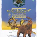 خرید کتاب گمشده در کولاک کورکننده اثر جان آر اریکسون نشر کتاب چ
