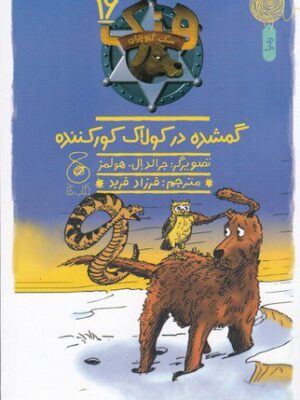 خرید کتاب گمشده در کولاک کورکننده اثر جان آر اریکسون نشر کتاب چ