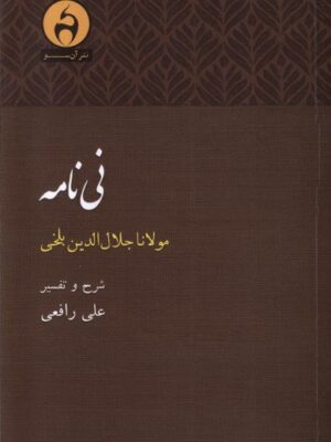 خرید کتاب نی نامه مولانا شرح و تفسیر علی رافعی نشر آن سو