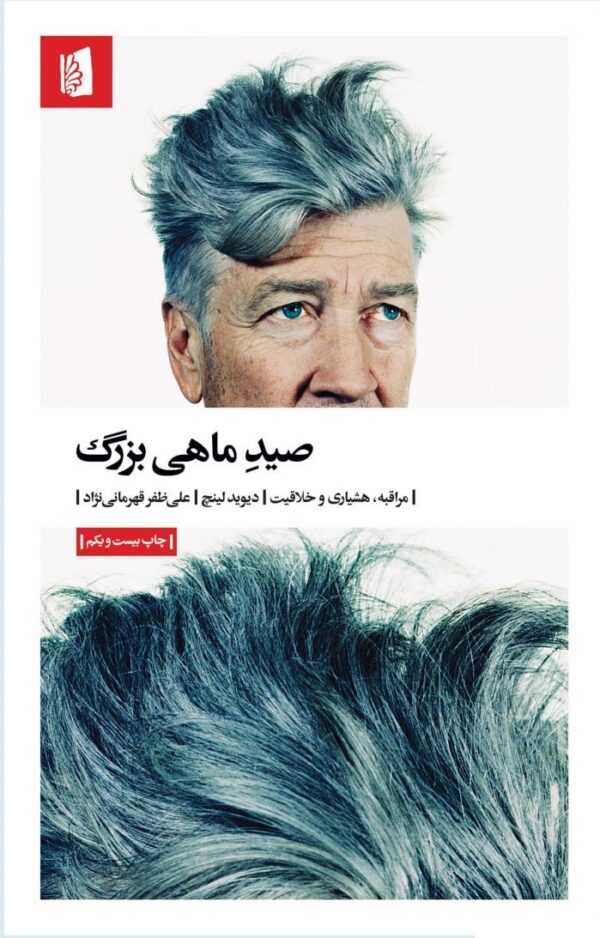 خرید کتاب صید ماهی بزرگ اثر دیوید فینچ نشر بیدگل